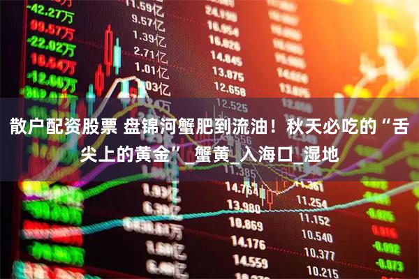 散户配资股票 盘锦河蟹肥到流油！秋天必吃的“舌尖上的黄金”_蟹黄_入海口_湿地